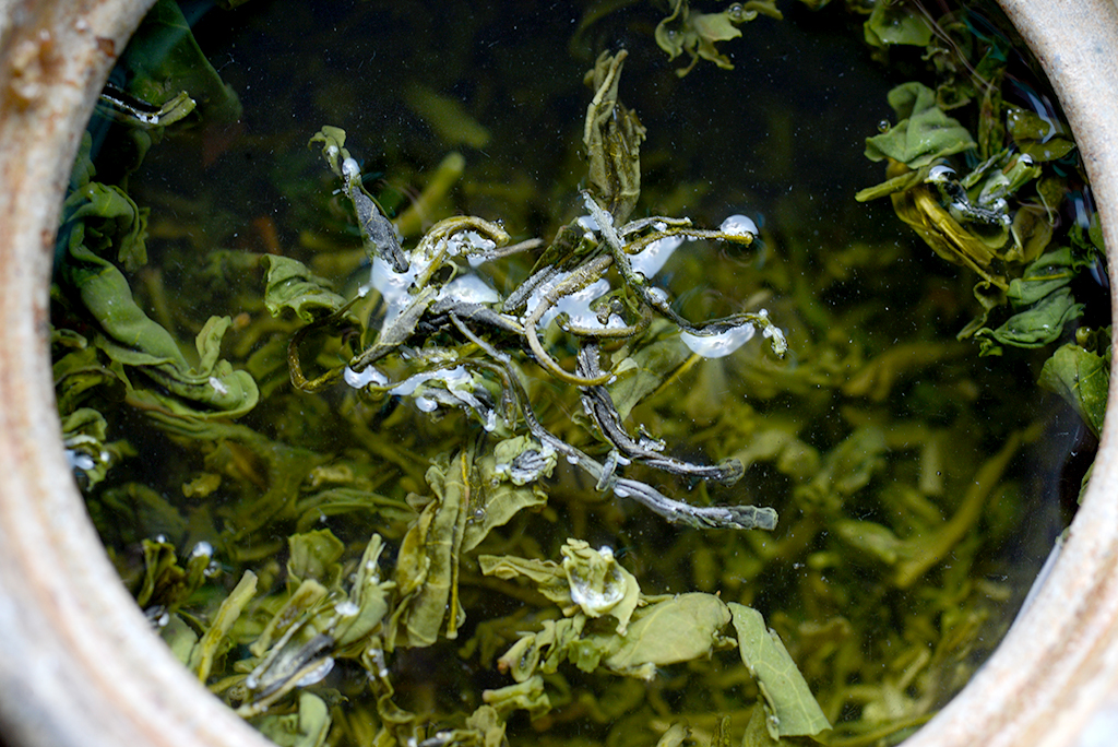 mending Cui Yu chinese green tea